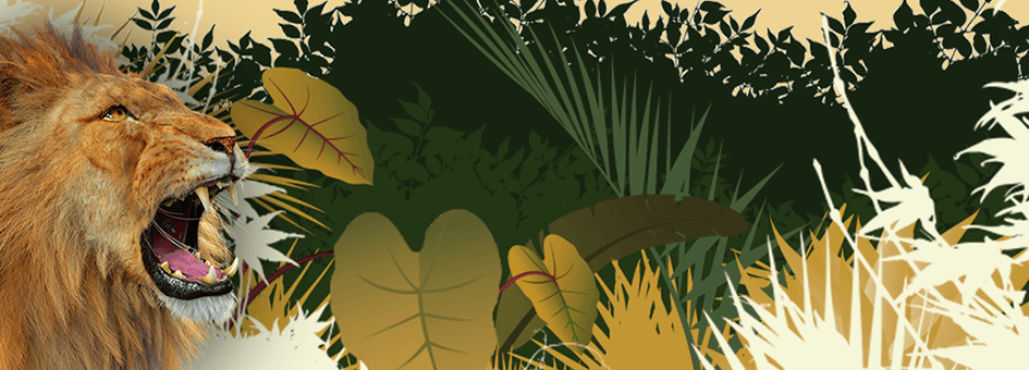 Casimba Willkommensbonus Bis Zu €1100 + 125 Freispiele